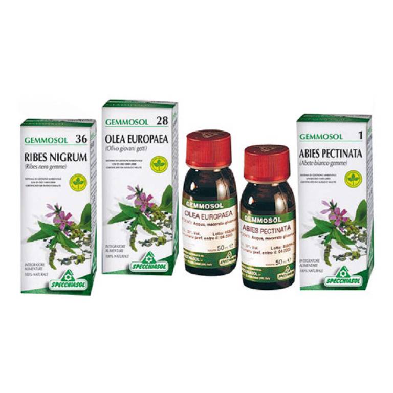 GEMMOSOL 36 RIBES NERO 100ML